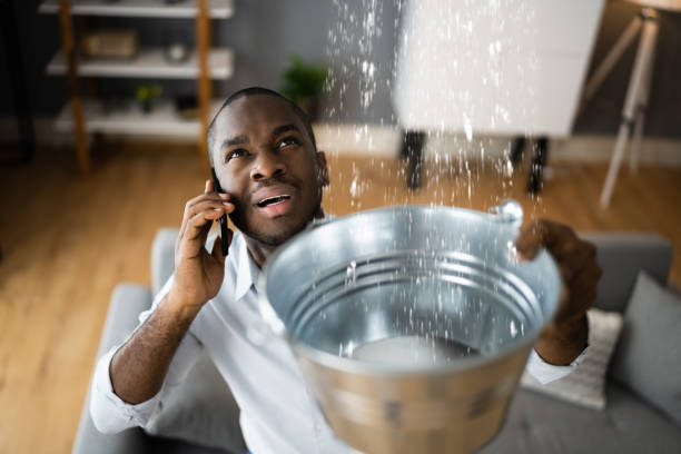 Best Carpet water damage restoration  in Hugoton, KS