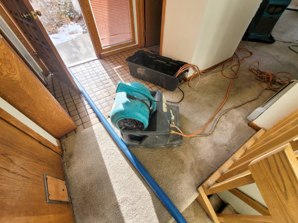 Best Fire Damage Restoration  in Hugoton, KS