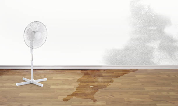 Best Water damage cleanup near me  in Hugoton, KS