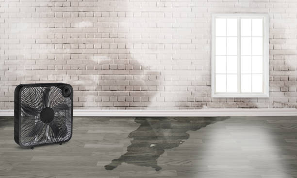 Local water damage restoration in KS