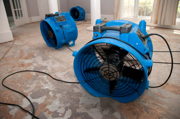 Best Water damage restoration near me  in Hugoton, KS