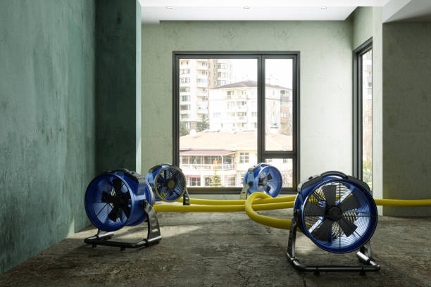 Best Fire Damage Restoration  in Hugoton, KS