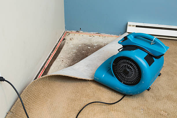 Best Commercial water damage restoration  in Hugoton, KS